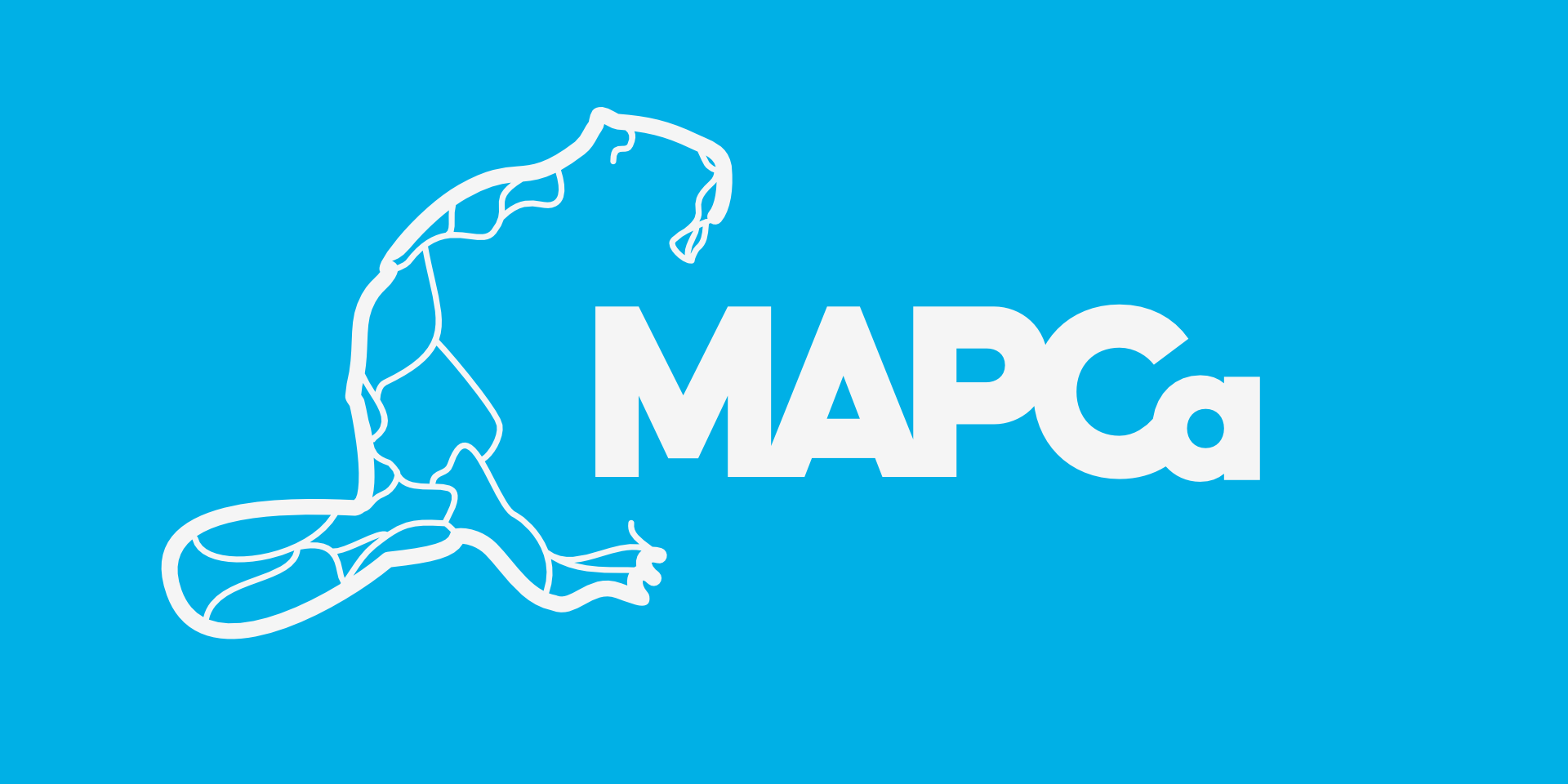 mapca_logotype_official-blue-bg